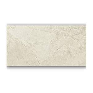 Gạch ốp lát Taicera 30×60 G63813