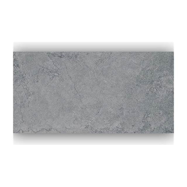 Gạch ốp lát Taicera 30×60 G63818