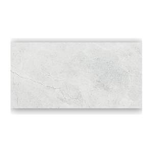 Gạch ốp lát Taicera 30×60 G63845