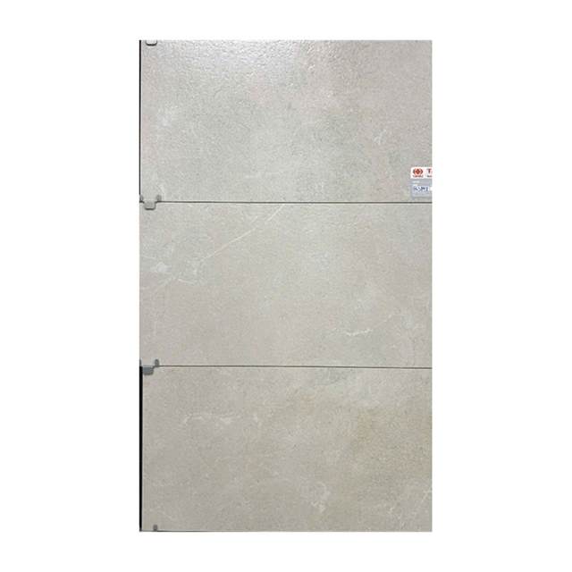 Gạch ốp lát Taicera 30×60 G63848