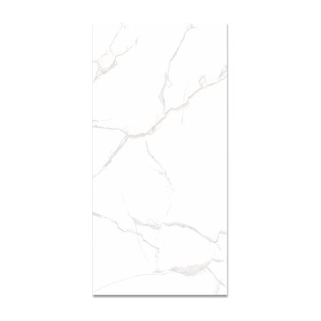 Gạch ốp lát Taicera 30×60 GP63085 men bóng