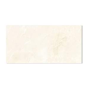 Gạch ốp lát Taicera 30×60 W63033