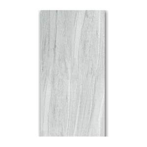 Gạch ốp lát Taicera 60x120 G12094