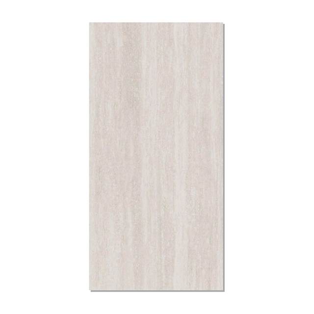 Gạch ốp lát Taicera 60x120 G12321J