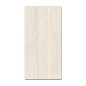 Gạch ốp lát Taicera 60x120 G12323J