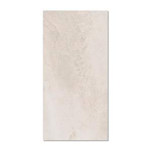 Gạch ốp lát Taicera 60x120 G12821J