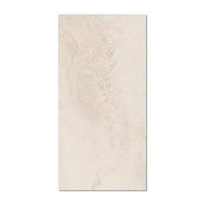 Gạch ốp lát Taicera 60x120 G12823J