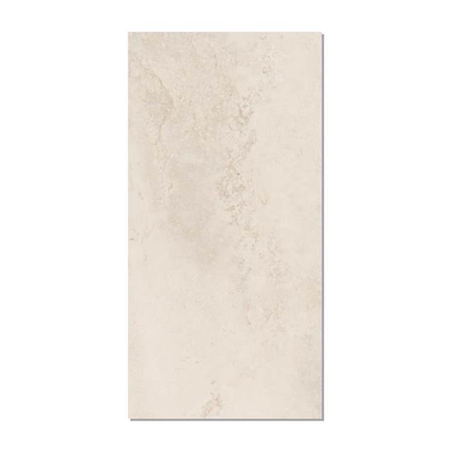 Gạch ốp lát Taicera 60x120 G12823J