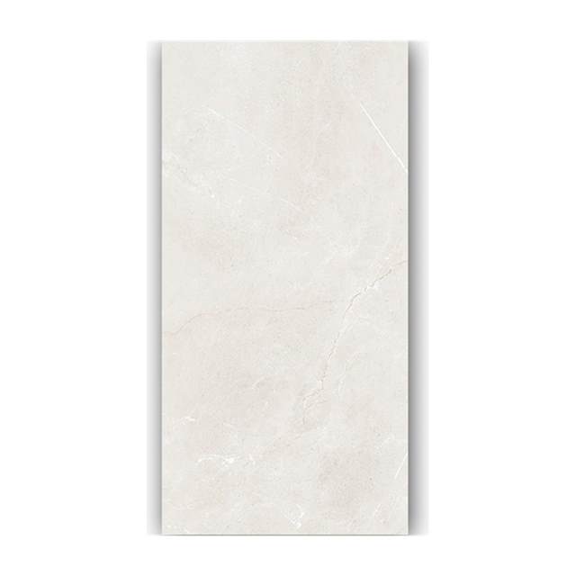 Gạch ốp lát Taicera 60x120 G12845
