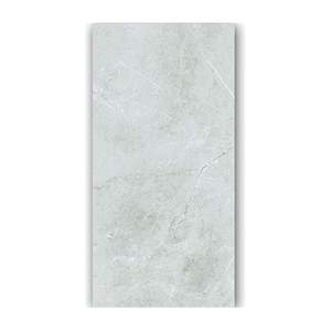 Gạch ốp lát Taicera 60x120 G12848
