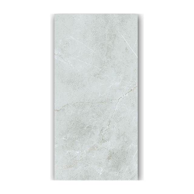 Gạch ốp lát Taicera 60x120 G12848