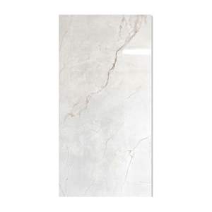 Gạch ốp lát Taicera 60x120 G12L55JW