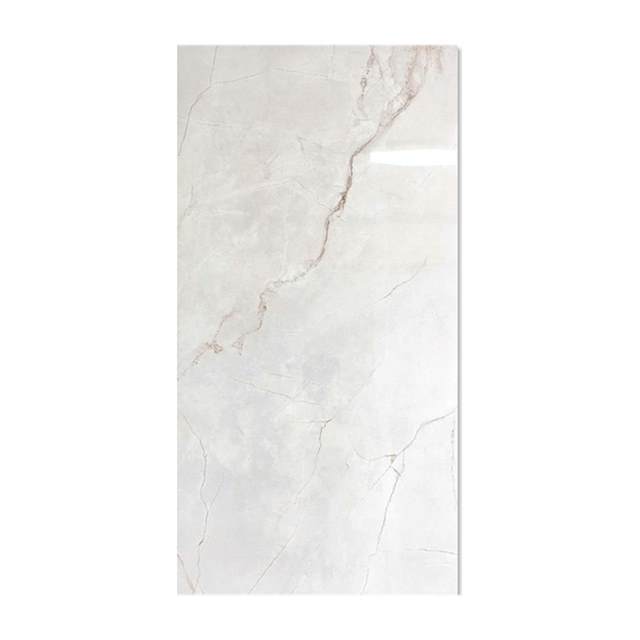 Gạch ốp lát Taicera 60x120 G12L55JW