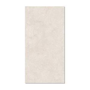 Gạch ốp lát Taicera 60x120 G12P13JW