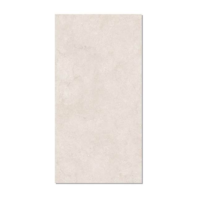 Gạch ốp lát Taicera 60x120 G12P13JW