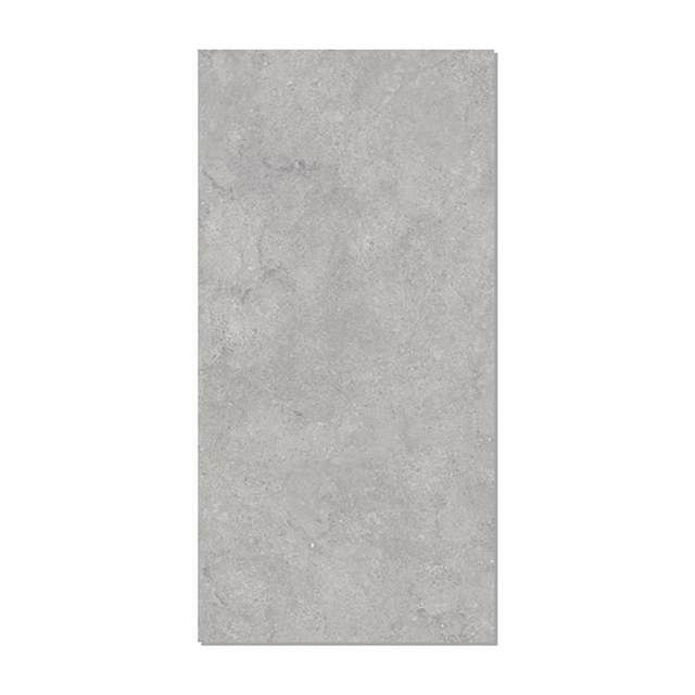 Gạch ốp lát Taicera 60x120 G12P17JW