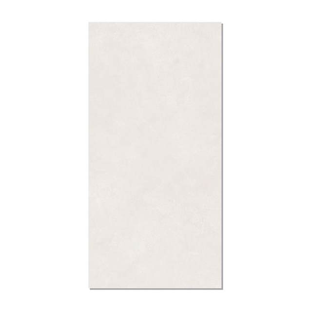 Gạch ốp lát Taicera 60x120 G12P22JM