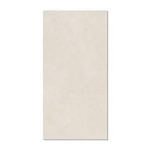 Gạch ốp lát Taicera 60x120 G12P23JM