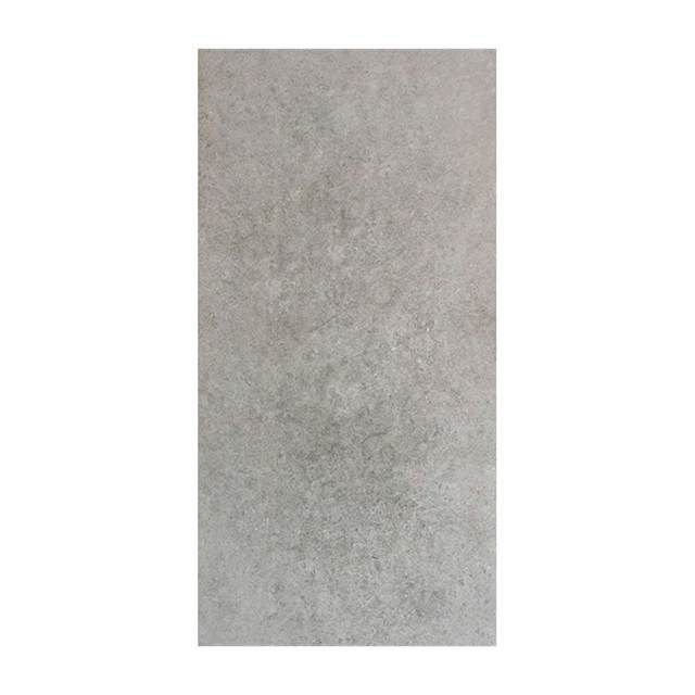 Gạch ốp lát Taicera 60x120 G12P39JM