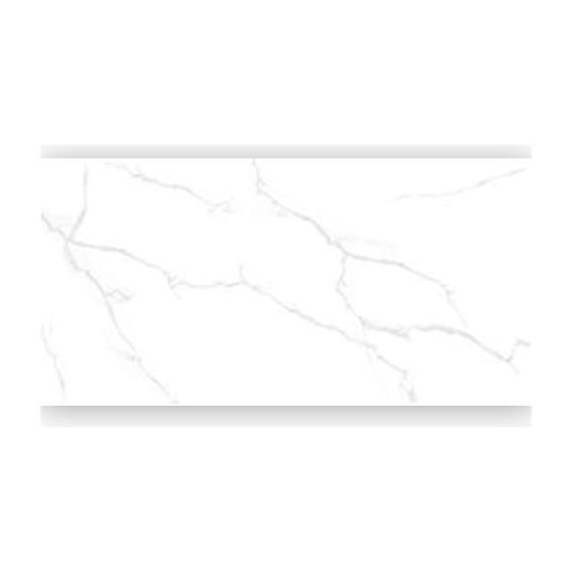 Gạch ốp lát Taicera 60x120 GP12085