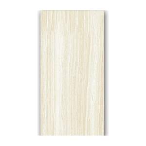 Gạch ốp lát Taicera 60x120 GP12206