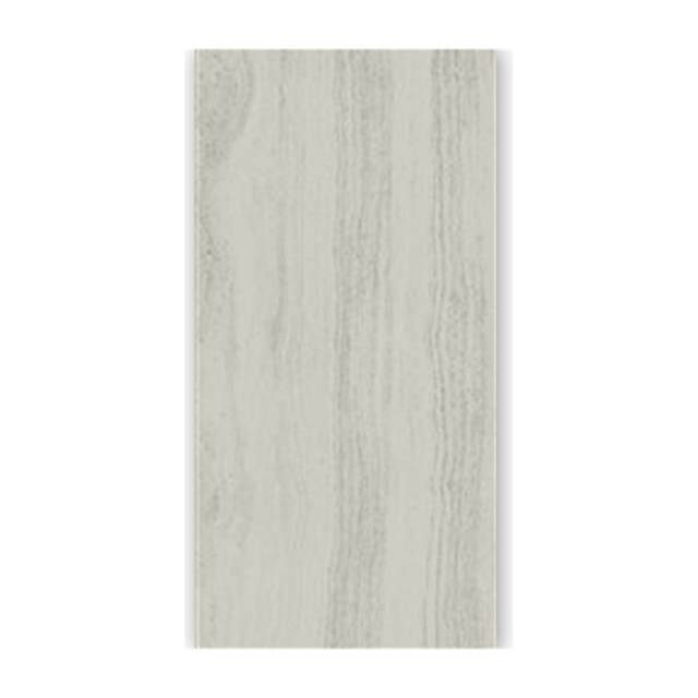 Gạch ốp lát Taicera 60x120 GP12208