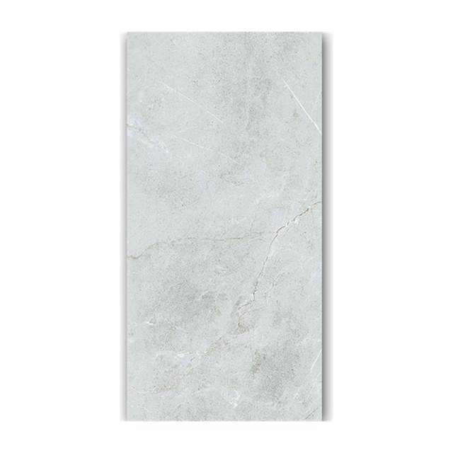 Gạch ốp lát Taicera 60x120 GP12848