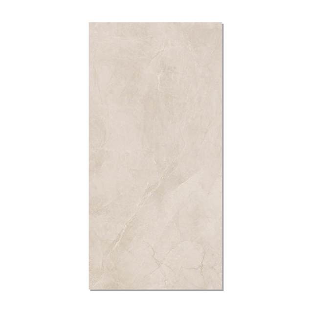 Gạch ốp lát Taicera 60x120 GP12L05JW