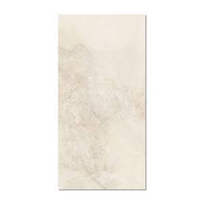 Gạch ốp lát Taicera 60x120 GP12L06JW