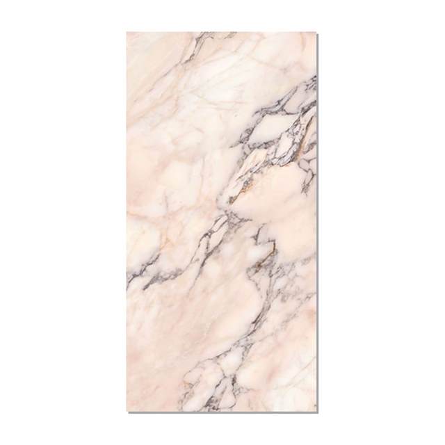 Gạch ốp lát Taicera 60x120 GP12L26JW