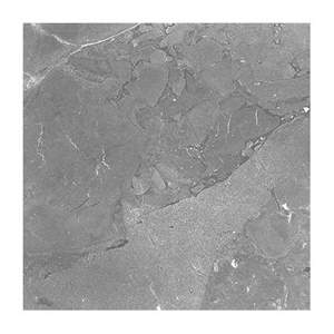 Gạch ốp lát Taicera 90x90 G98018