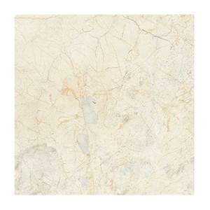 Gạch ốp lát Taicera 90x90 G98903