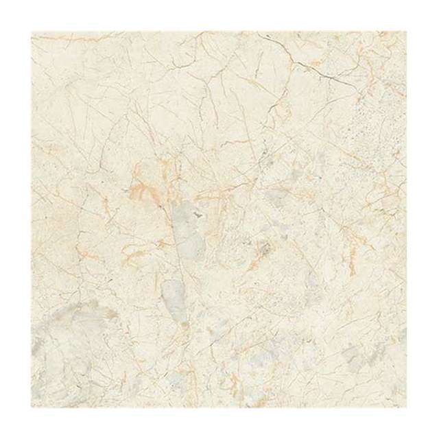 Gạch ốp lát Taicera 90x90 G98903