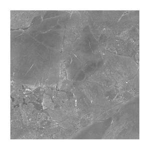 Gạch ốp lát Taicera 90x90 GP98018