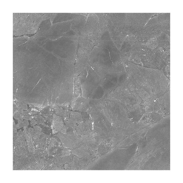 Gạch ốp lát Taicera 90x90 GP98018