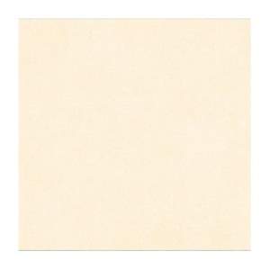 Gạch ốp lát Thạch Bàn 60x60 PGM60-0243