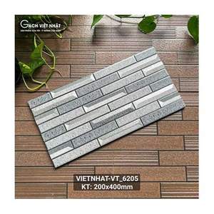 Gạch ốp lát Việt Nhật 20x40cm VT_6205