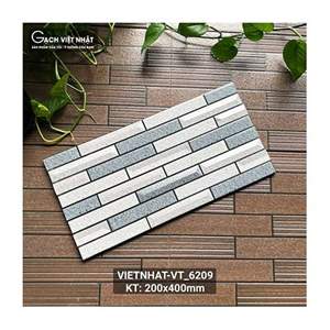 Gạch ốp lát Việt Nhật 20x40cm VT_6209