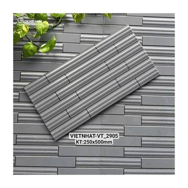 Gạch ốp lát Việt Nhật VT_2905 25x50cm