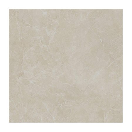 Gạch ốp lát Vietceramic 120x120 120ASBE