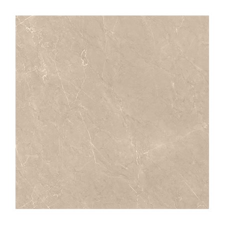 Gạch ốp lát Vietceramic 120x120 120LECRPO
