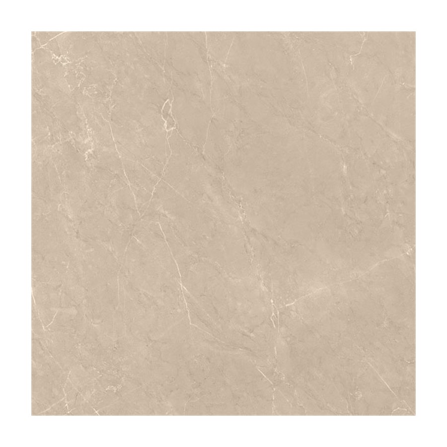 Gạch ốp lát Vietceramic 120x120 120LECRPO