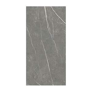 Gạch ốp lát Vietceramic 60x120 612ELGRPUL