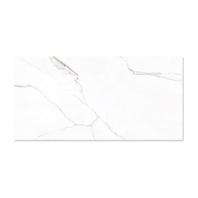 Gạch ốp lát Vietceramic 60x120 612PM126601S men mờ