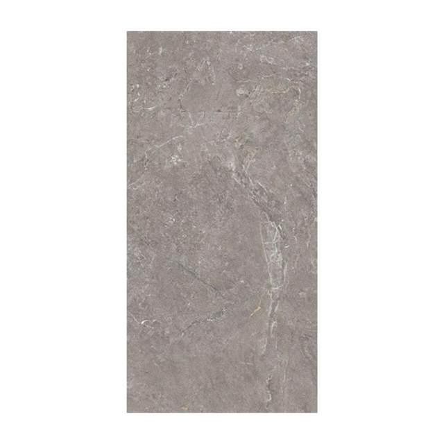 Gạch ốp lát Vietceramic 60x120 612PXLIN4