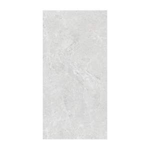 Gạch ốp lát Vietceramic 60x120 612SLLIN2