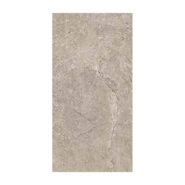 Gạch ốp lát Vietceramic 60x120 612SLLIN3