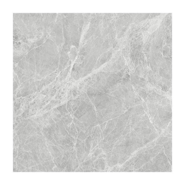 Gạch ốp lát Vietceramic 60x60 60GS66145