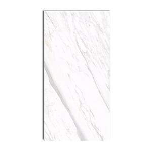 Gạch ốp lát Eurotile 60x120 SIG. P61201