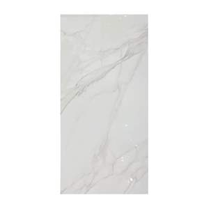 Gạch ốp lát Eurotile 60x120 SIG. P61205